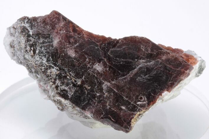 1.8" Rare, Red Villiaumite Crystal - Murmansk Oblast, Russia